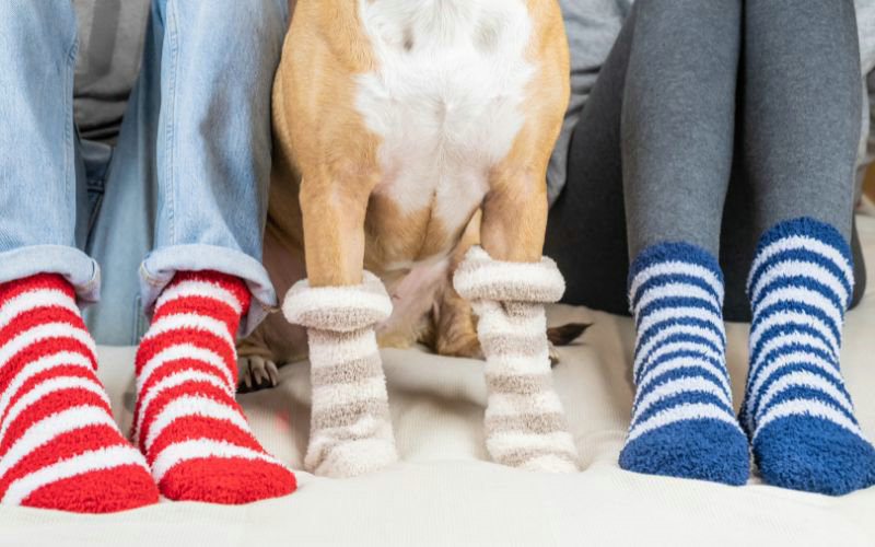 How to Know What Size Sock You Are: A Friendly Guide to Finding the Perfect Fit