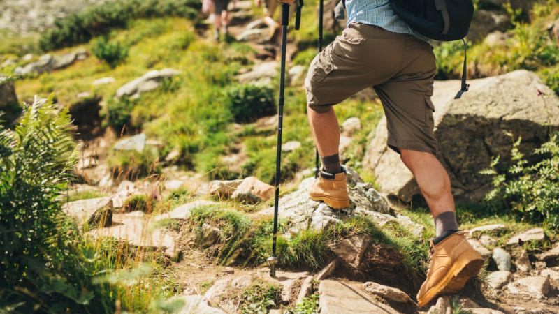 Um caminhante de shorts usa bastões de caminhada em uma trilha rochosa, usando meias confortáveis de lã merino, cercado por uma vegetação exuberante neste verão.