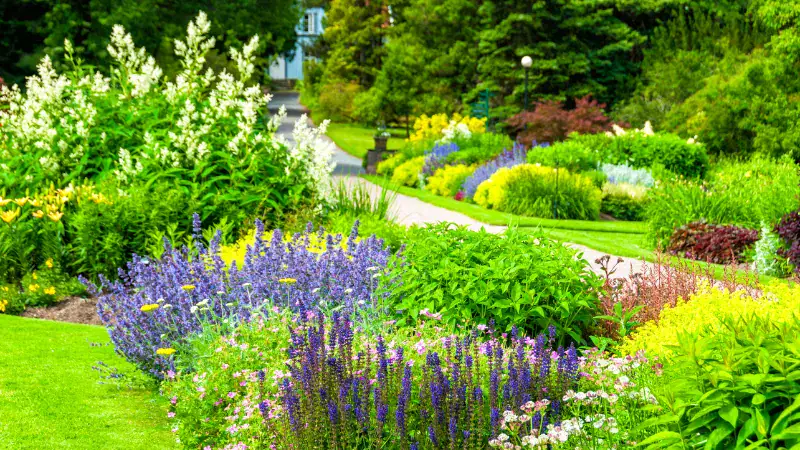 A lush garden scene featuring a variety of colorful flowers, green shrubs, and trees along a winding pathway, showcasing a well-maintained outdoor space perfect for relaxation and nature enjoyment.